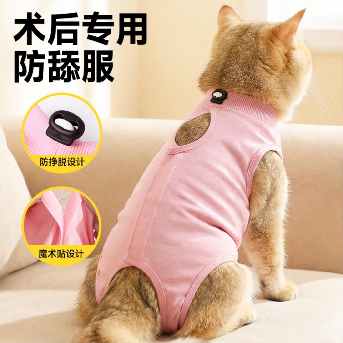 绝育服母猫专用术后服透气魔术贴猫咪断奶服手术衣防舔冬天护肚子