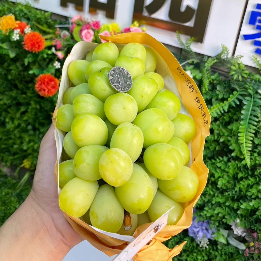 整箱水果送礼应季当季顺丰