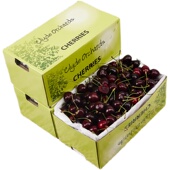 新西兰空运科迪亚车厘子4斤原装 礼盒精选大果进口大樱桃新鲜水果