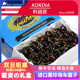 礼盒装 4斤新西兰Kordia科迪亚车厘子进口新鲜水果黑珍珠大樱桃