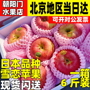 日本品种特秀雪恋苹果当季 包邮 高端新鲜水果冬恋抗氧化富士奶油