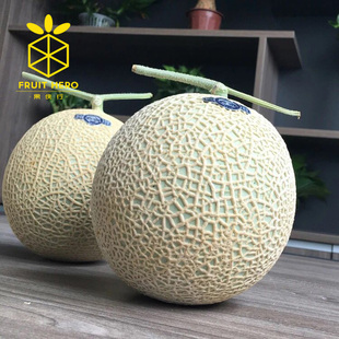 静冈品种皇冠蜜瓜梅陇皇冠白印啫喱哈密蜜瓜T字瓜超甜多汁1个顺丰