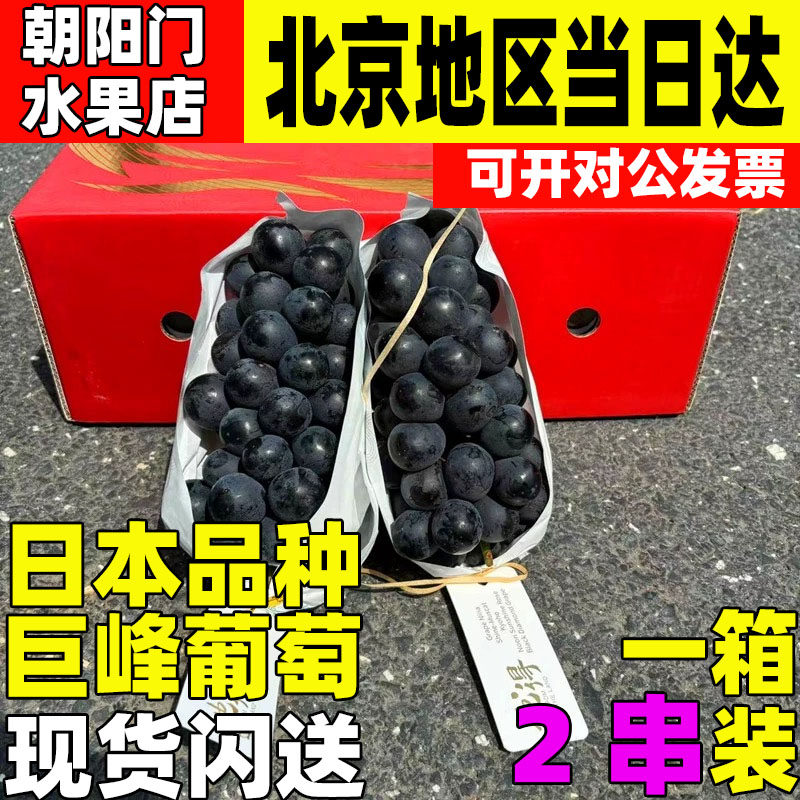 日本品种长野巨峰葡萄 黑钻葡萄无籽长野紫黑提子3串礼盒装新鲜
