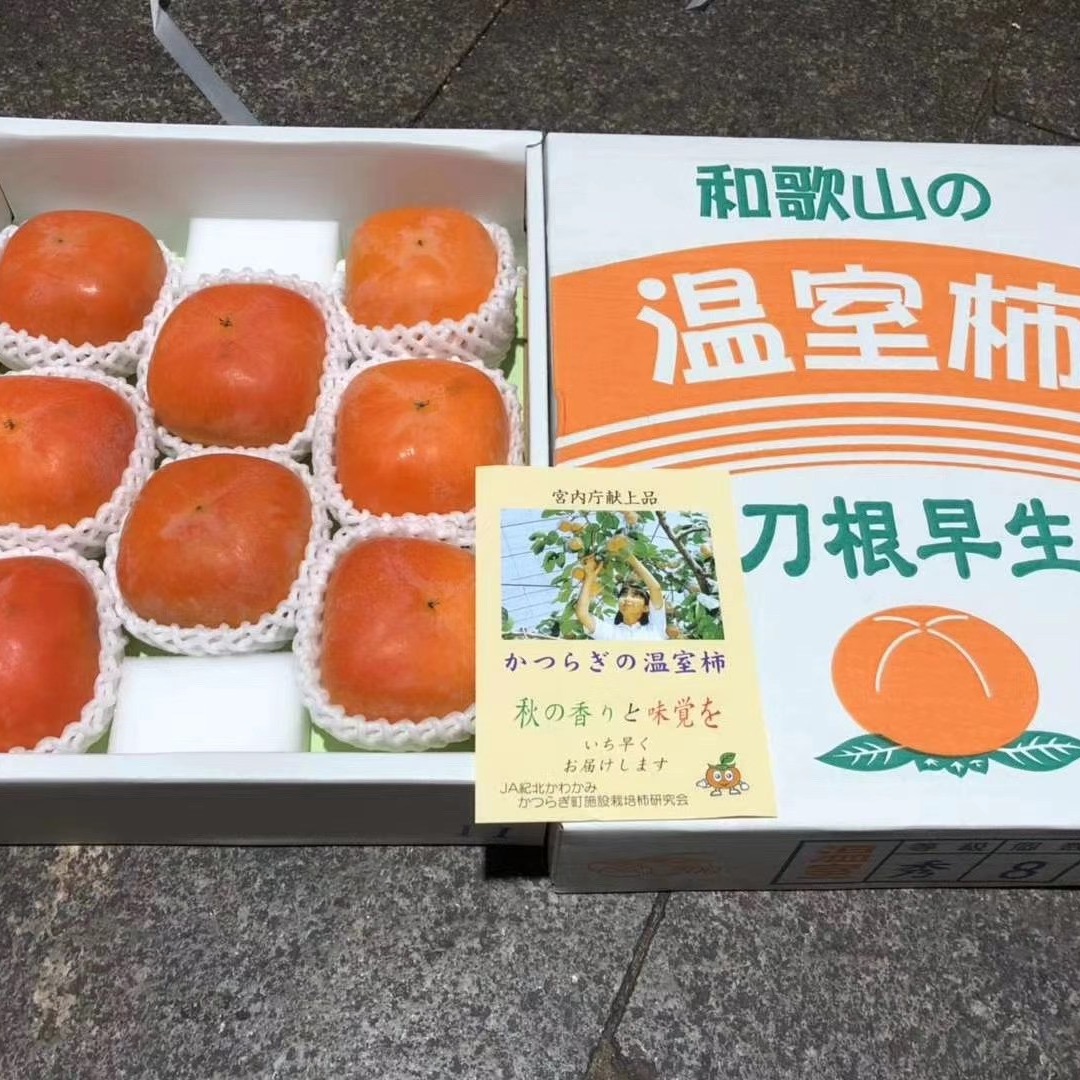 和歌山温室柿刀根早生柿子脆甜柿子日本和歌山似品种国产新鲜水果