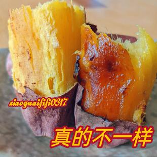 德岛鸣门金时红薯蜜薯板栗地瓜黄心山芋番薯日本品种粉糯甜安纳芋