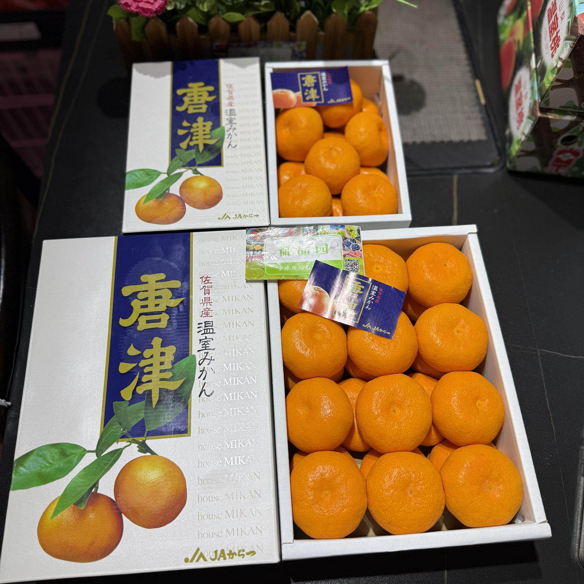 佐贺唐津蜜柑蜜橘桔子鲜嫩多汁日本佐贺蜜柑似品种国产送礼水果
