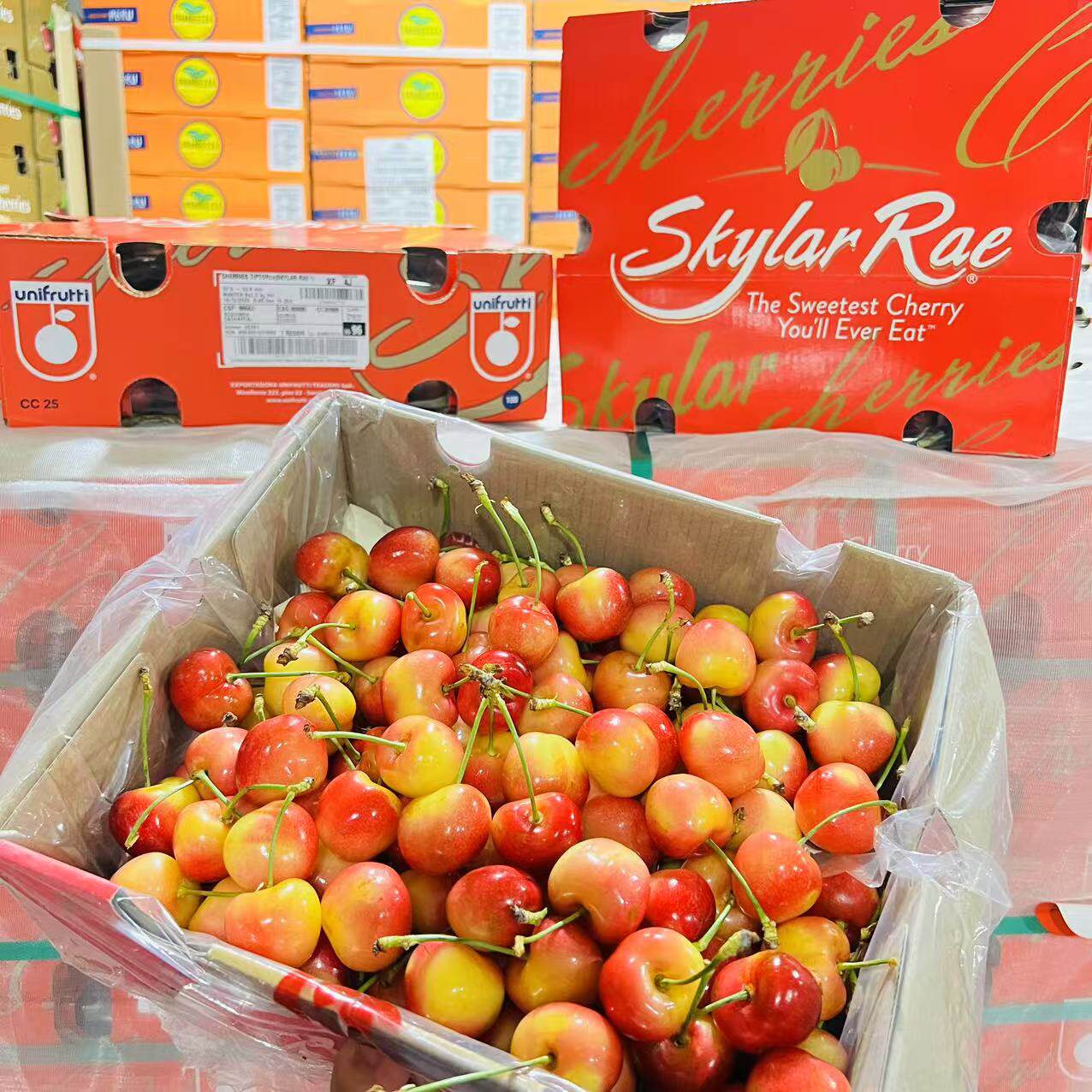 乐鲜果园智利进口新鲜金车厘子斯凯拉雷大果当季新鲜进口大樱桃,水产肉类/新鲜蔬果/熟食,车厘子/樱桃,淘宝优惠券,粉丝福利购,淘宝优惠卷