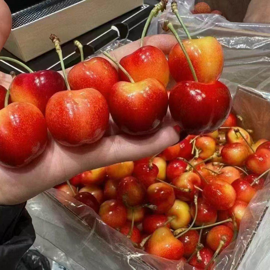 车厘子新鲜水果顺丰孕妇