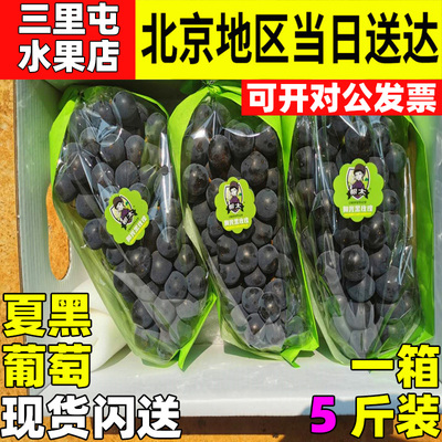 新鲜黑腾巨峰葡萄云南夏黑提子4斤装3到4串 酸甜多汁江浙沪皖包邮