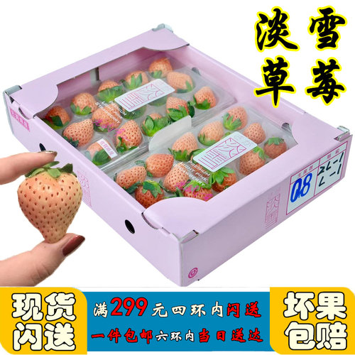 淡雪白草莓新鲜水果奶油红颜礼盒装佐贺奈良熊本牛奶白草莓非日本