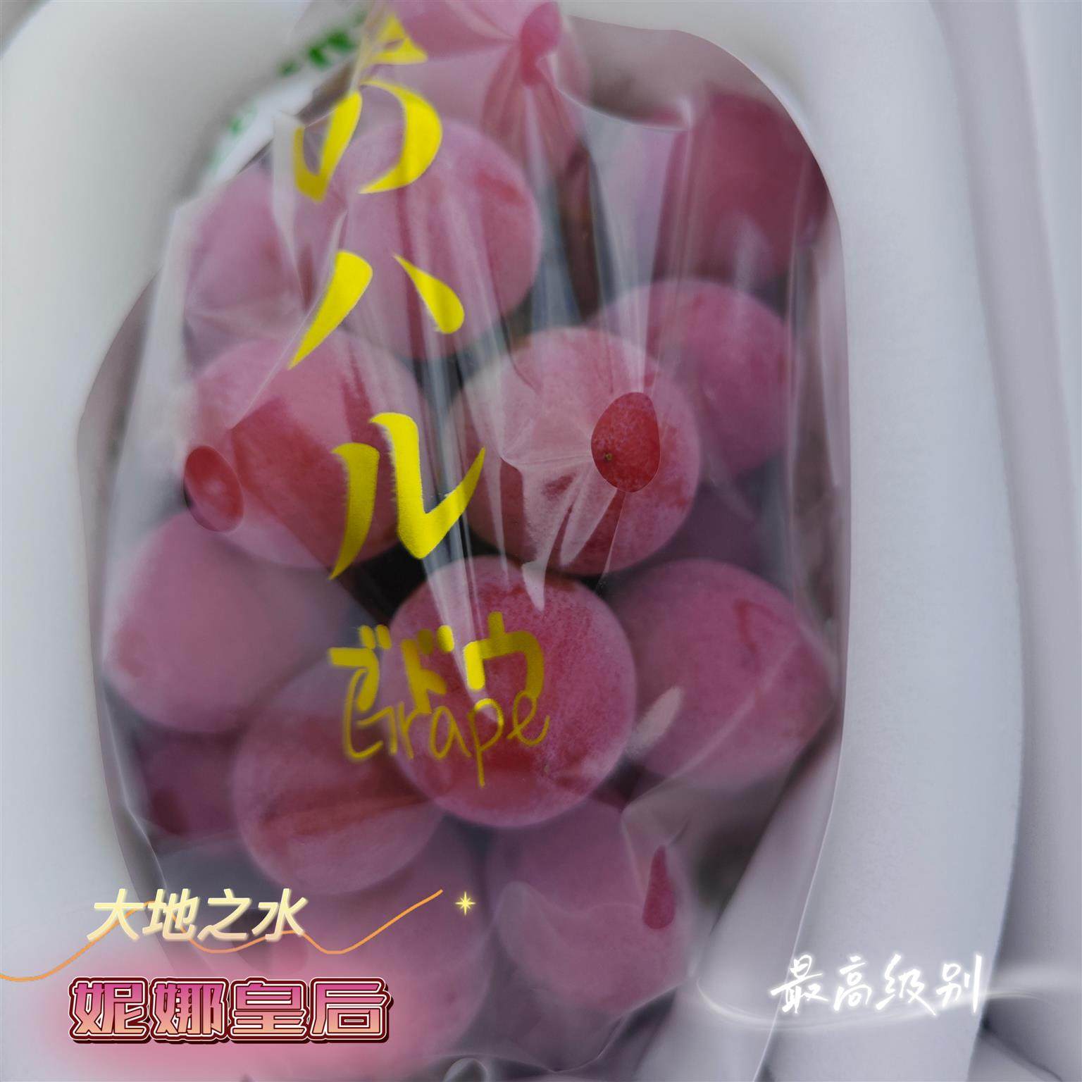 大地之水妮娜皇后单串礼盒装日本品种当季提子葡萄顺丰空运