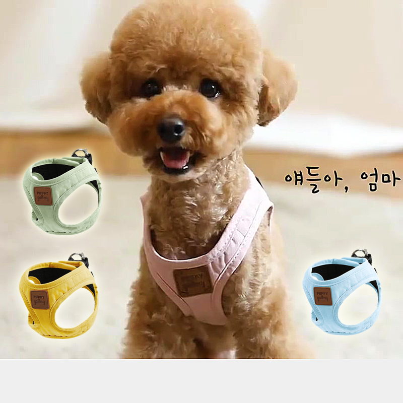 Puppygallery牵引绳马尔济斯