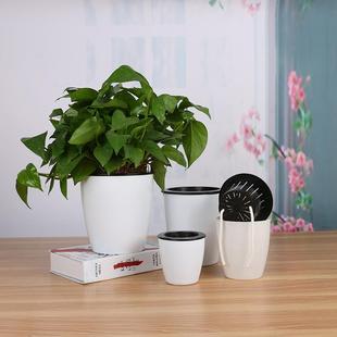 Lazy Flower Pot Plastic Automatic Water-Absorbing Green Plan