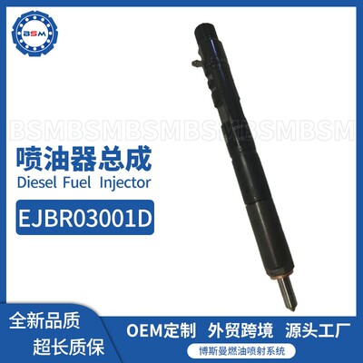 EJBR03001D喷油器总成33801-4X900适用于起亚