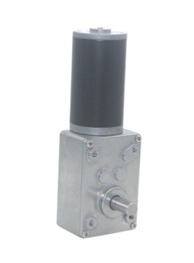 DC 12V 24V蜗轮蜗杆减速电机双轴5-470Rpm自锁可调速正反转电机