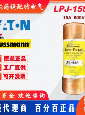 LPJ-15SP 延时保险丝 600V15A 巴斯曼BUSSMANN熔断器
