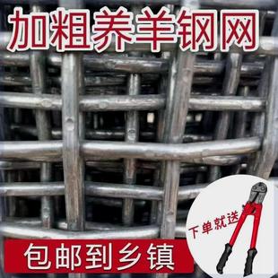 羊床网养羊网养鸡鸭鹅漏粪钢网围栏网养殖围栏网热镀锌轧花钢丝网