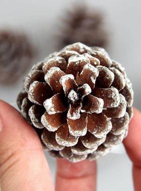 5cm Natural Pinecone Ornaments with Frosted Snow Tips