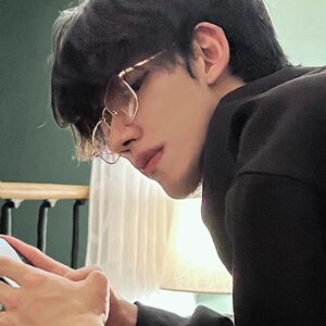小红书新款金丝近视眼镜男高颜值斯文方框王鹤棣同款防蓝光平光镜
