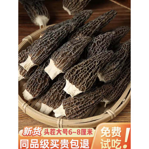 羊肚菌干货精品礼盒肉厚足干天然