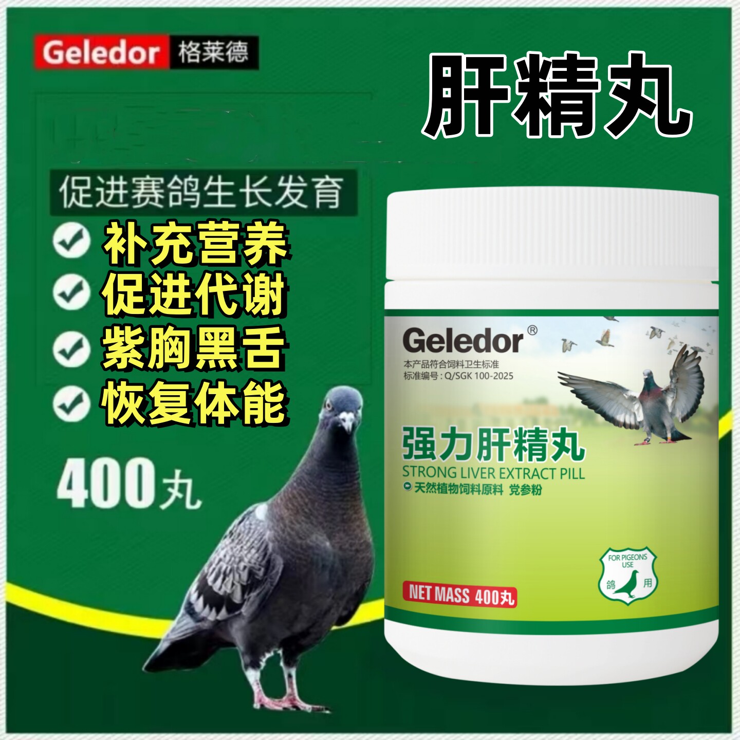 格莱德强力肝精丸赛鸽黑舌紫胸