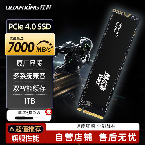 铨兴 1T SSD固态硬盘 M.2接口 2280 (NVME协议) PCIe4.0 P402