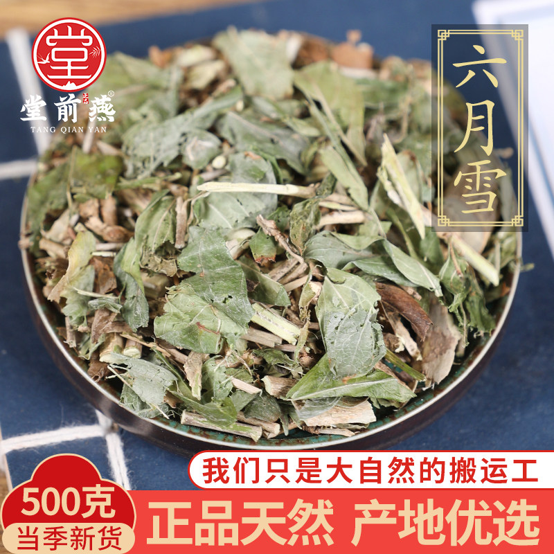 中药材精选六月雪正品新货白马骨路边金满天星500g克新鲜晒干