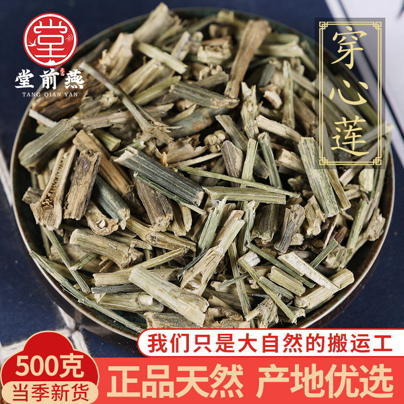 中药材精选穿心莲500克正品