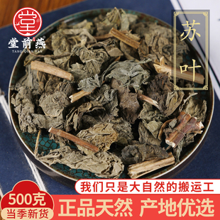 精选苏叶500g克干苏叶泡脚食用苏叶粉泡茶苏叶