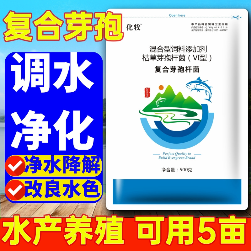 芽孢杆菌水产养殖调水改底鱼虾蟹塘降亚硝酸盐水产菌种芽孢杆菌