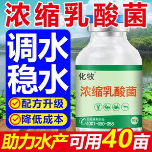 鱼虾蟹养殖乳酸菌水产养殖专用浓缩鱼池调水拌料菌种净水降PH值
