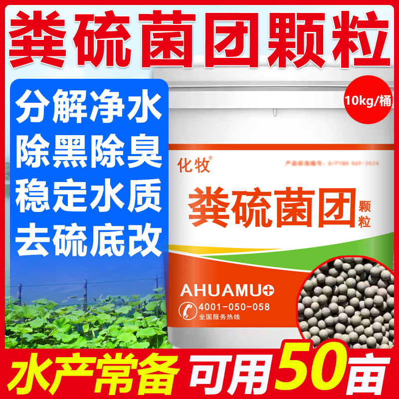粪硫菌团水产养殖专用调水净水稳水底改王生物底改除黑除臭增氧