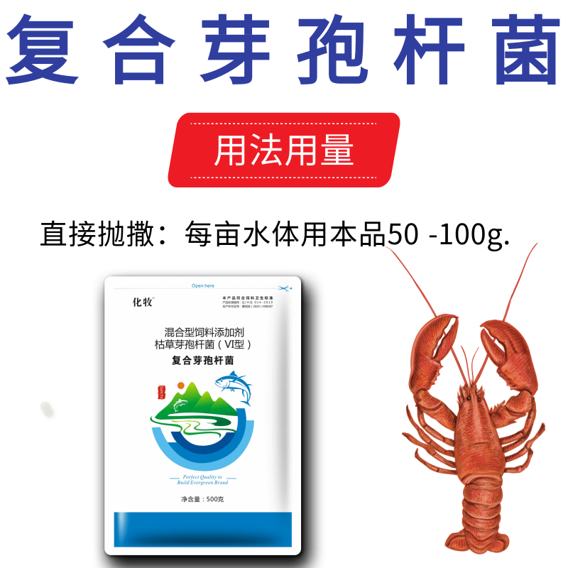 芽孢杆菌水产养殖调水改底鱼虾蟹塘降亚硝酸盐水产菌种芽孢杆菌