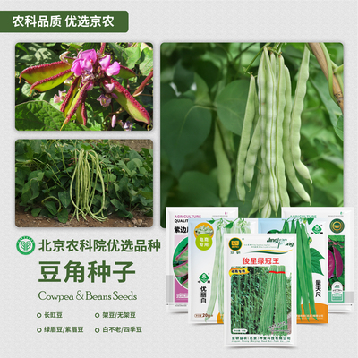 北京农科院豆角种子长豇豆无架豆