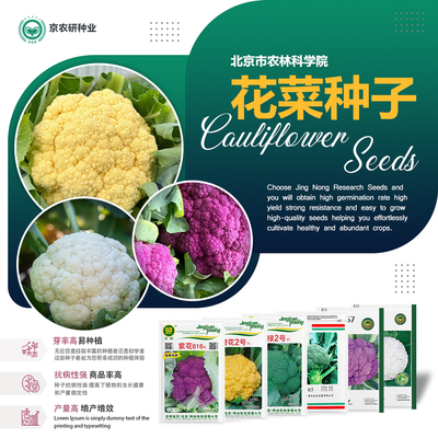 北京农科院菜花种子西蓝花松花菜