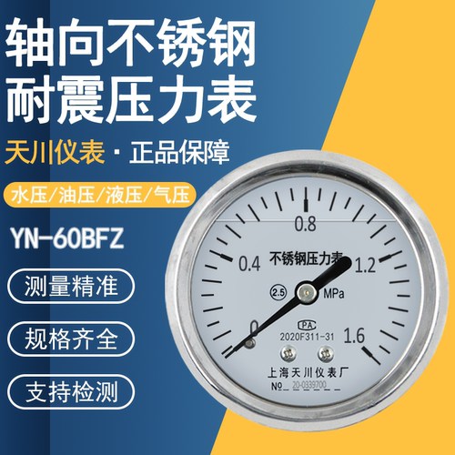 天川YN-60BFZ轴向不锈钢耐震表