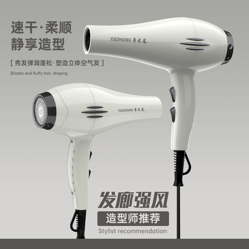 电吹风大功率蓝光负离子吹风筒家用发廊速干冷热风吹风机