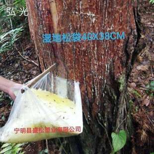 割松油袋 割松脂袋 割松香袋 湿地松袋40X38CM 6丝 100个/扎