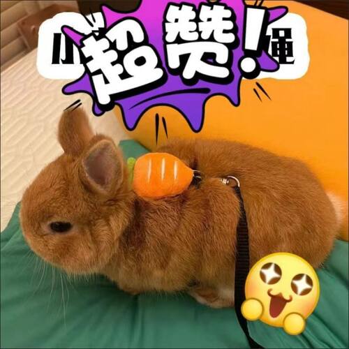 侏儒兔萝卜牵引绳超小型兔子专用可调节外出溜遛兔子牵引绳防挣脱