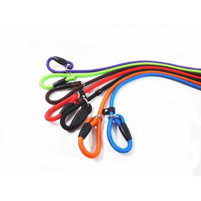 Dog Training Leash Slip Pet Dog Nylon Rope Lead Strap Tracti