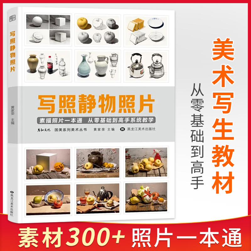 写照素描静物临摹对画构图单体