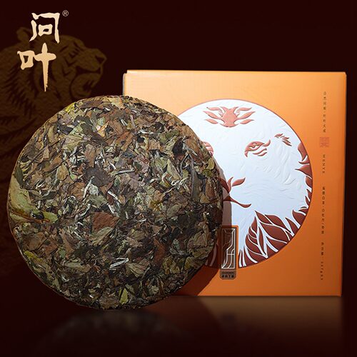 绿雪芽问叶福鼎白茶2016