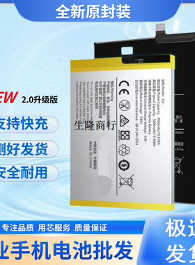适用vivo Z5X/X23/X27/X30pro/Y7S/S1/S5/B-F1/G0/G6/H9电池