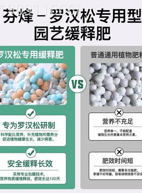 罗汉树松专用肥缓山释肥泰松造松有机肥罗汉松专盆景型植物通用颗