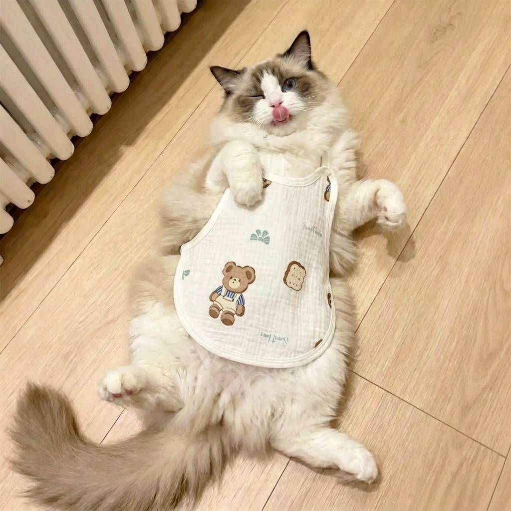 猫咪衣服夏季薄款棉纱透气护肚衣母狗母猫专用生理期免着凉肚兜