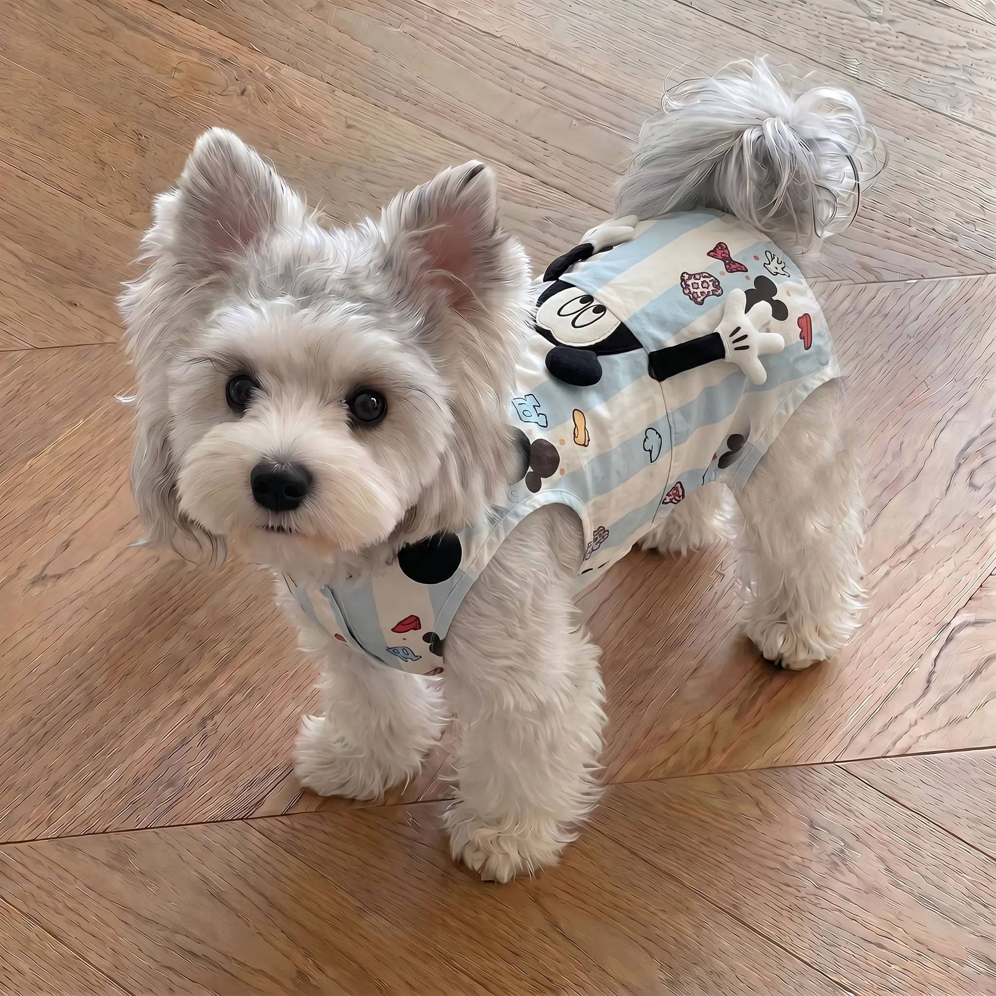狗狗衣服小型犬比熊雪纳瑞猫咪背心夏季薄款宠物四脚衣小狗连体裤