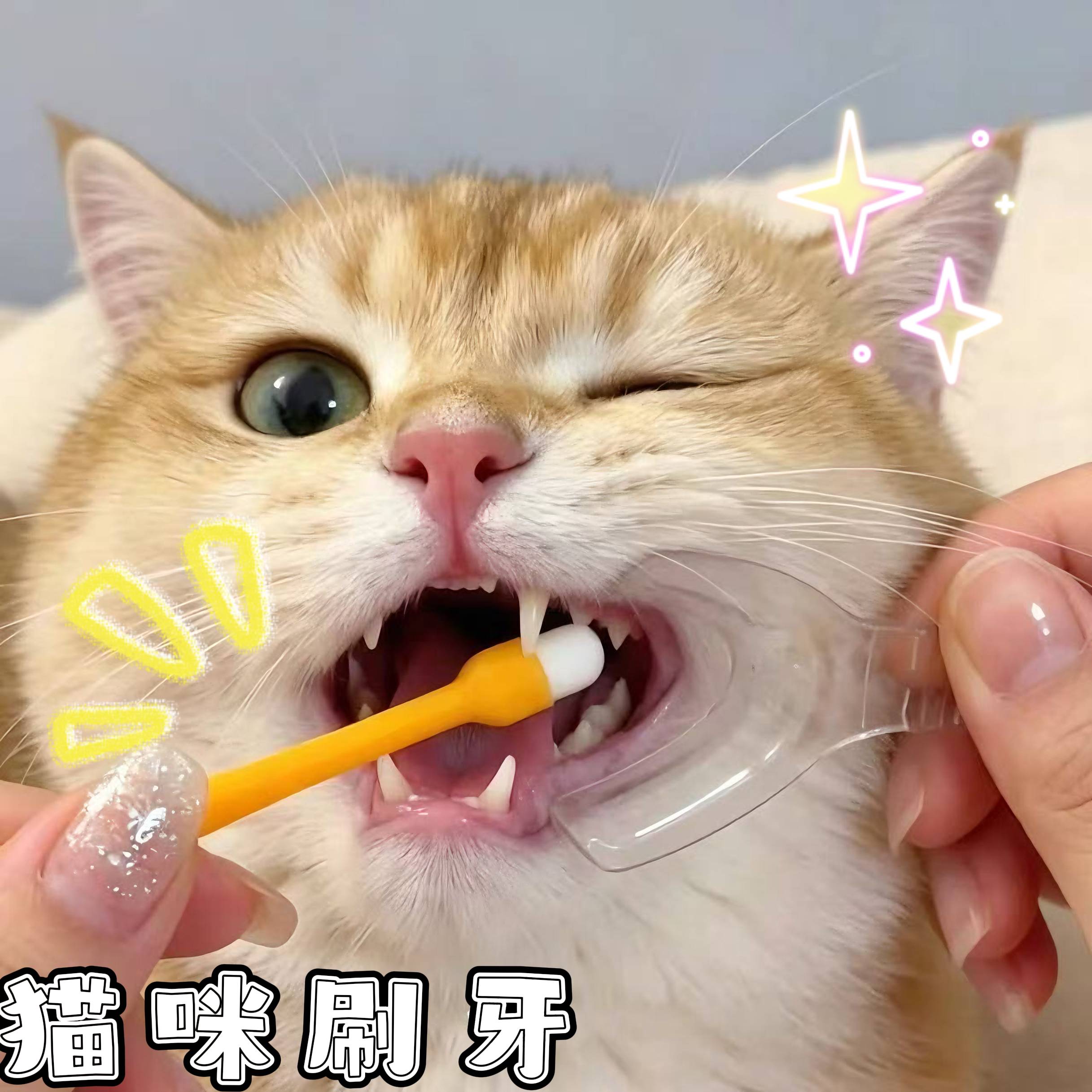 猫咪刷牙开口神器口腔扩口器宠物狗狗清洁牙齿辅助器耐高温易清洗