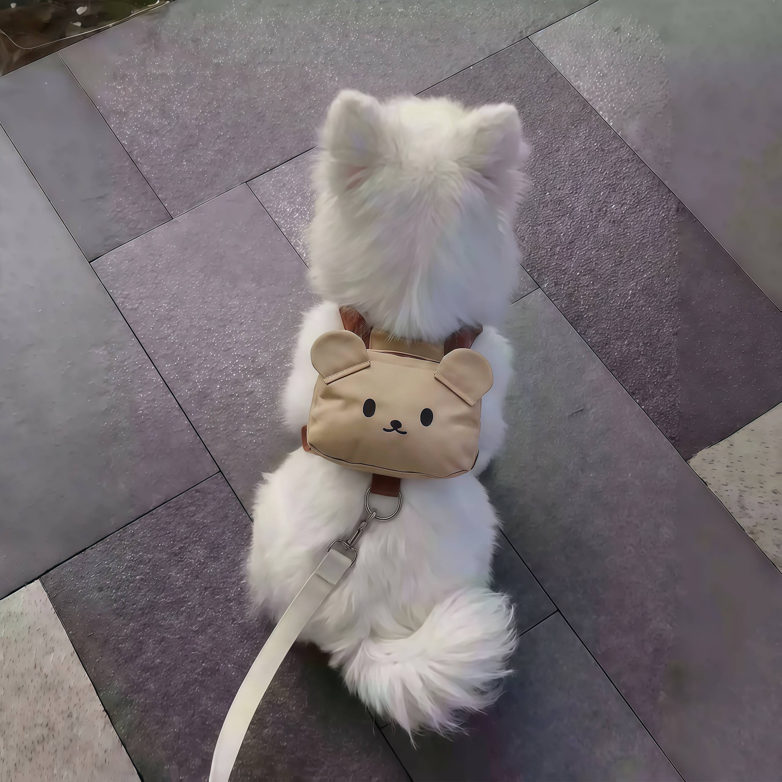【小狗的外出背包】狗狗牵引绳中小型犬自背背包胸背双肩包遛狗绳