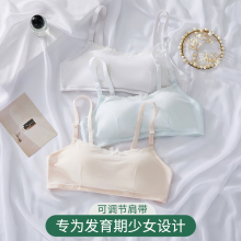 少女文胸高中生纯棉16岁薄款大胸显小收副乳青少年女孩内衣三阶段