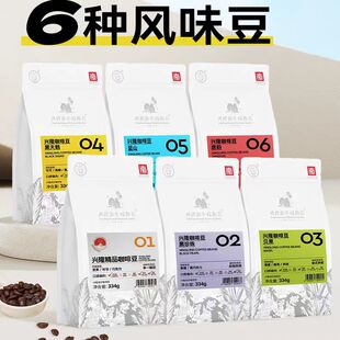 海南特产兴隆兴科热带植物园6种风味咖啡豆334克袋装手礼
